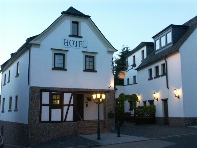 Hotel Restaurant Zur Pfanne Urbar  Zewnętrze zdjęcie